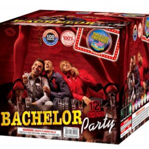 BACHELOR PARTY 36 SHOTS (CASE) 4/1
