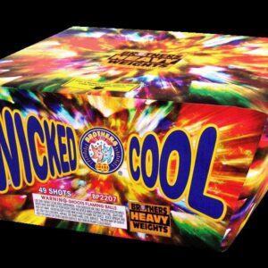 WICKED COOL 49 SHOT (CASE) 4/1