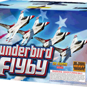 THUNDERBIRD FLYBY 20 SHOT (CASE) 4/1