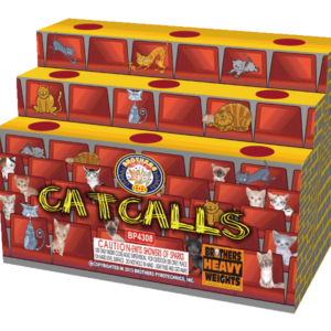 CATCALLS (CASE) 6/1