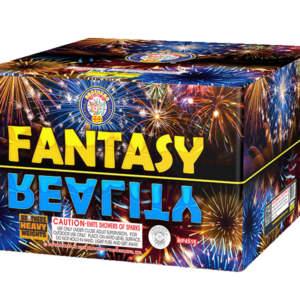 FANTASY REALITY (CASE) 4/1