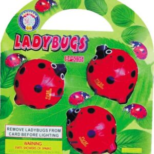 LADYBUGS (CASE) 60/3