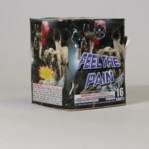 FEEL THE PAIN 16 SHOTS(CASE) 24/1
