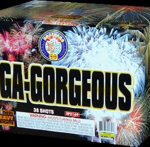 GIGA-GORGEOUS 500G (CASE) 4/1