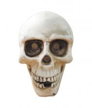 SKULL HEAD FOUNTAIN (CASE) 12/1