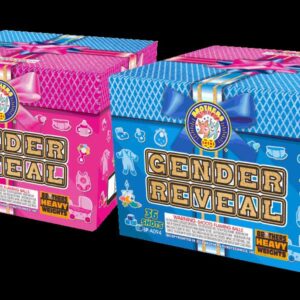 GENDER REVEAL 500 gram cake (CASE) 2/2