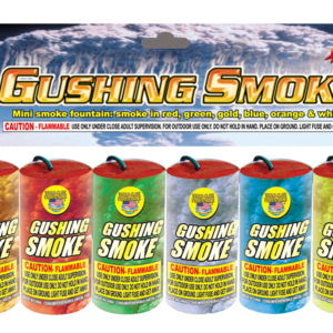 GUSHING SMOKE (CASE) 24/1