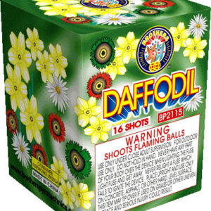 DAFFODIL 16 SHOT  (CASE) 24/1