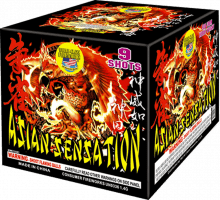 ASIAN SENSATION 9 SHOTS  (CASE) 4/1